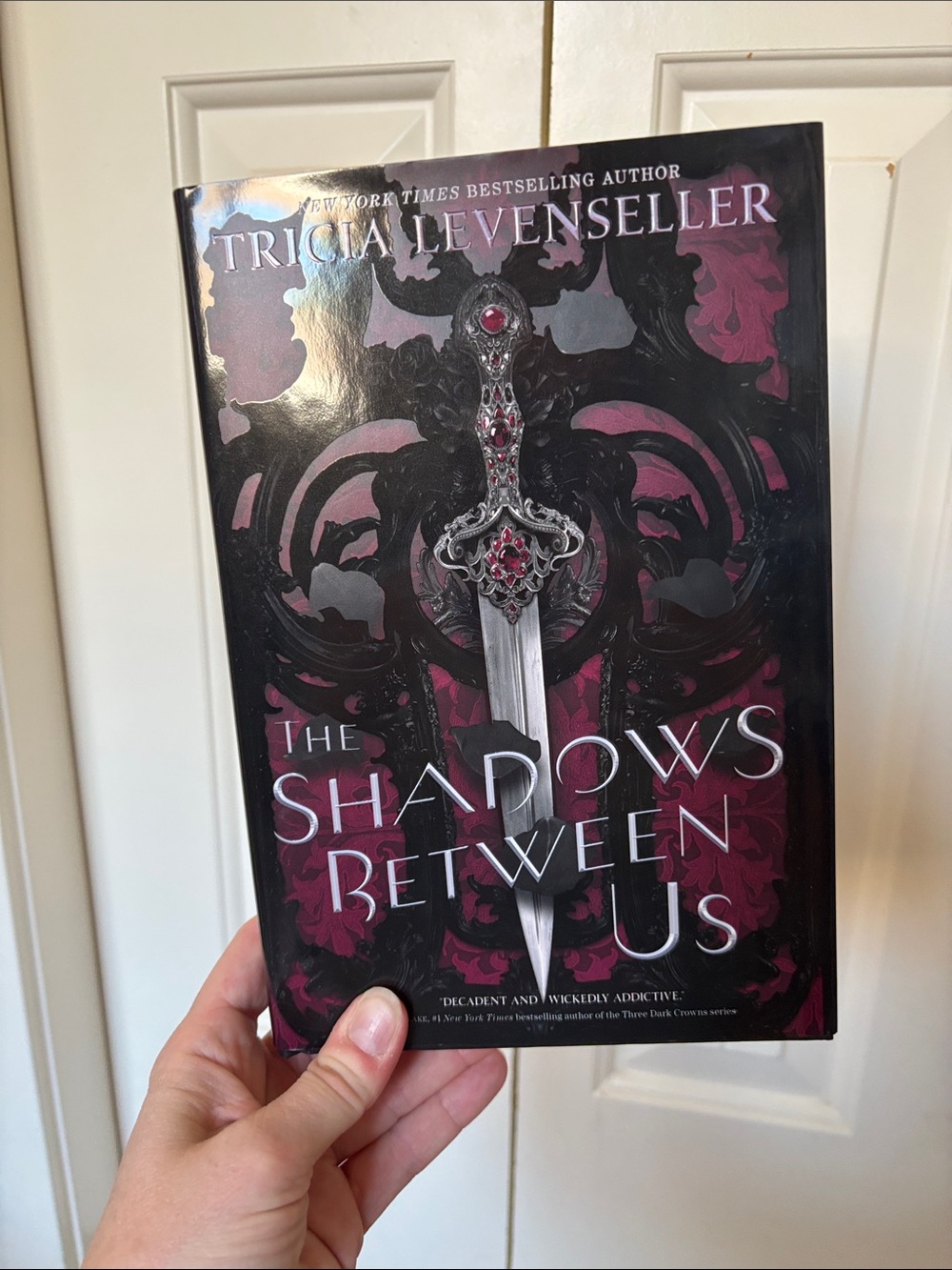 The Shadows Between Us by Tricia Levenseller - Dark Purple & Silver Cover
